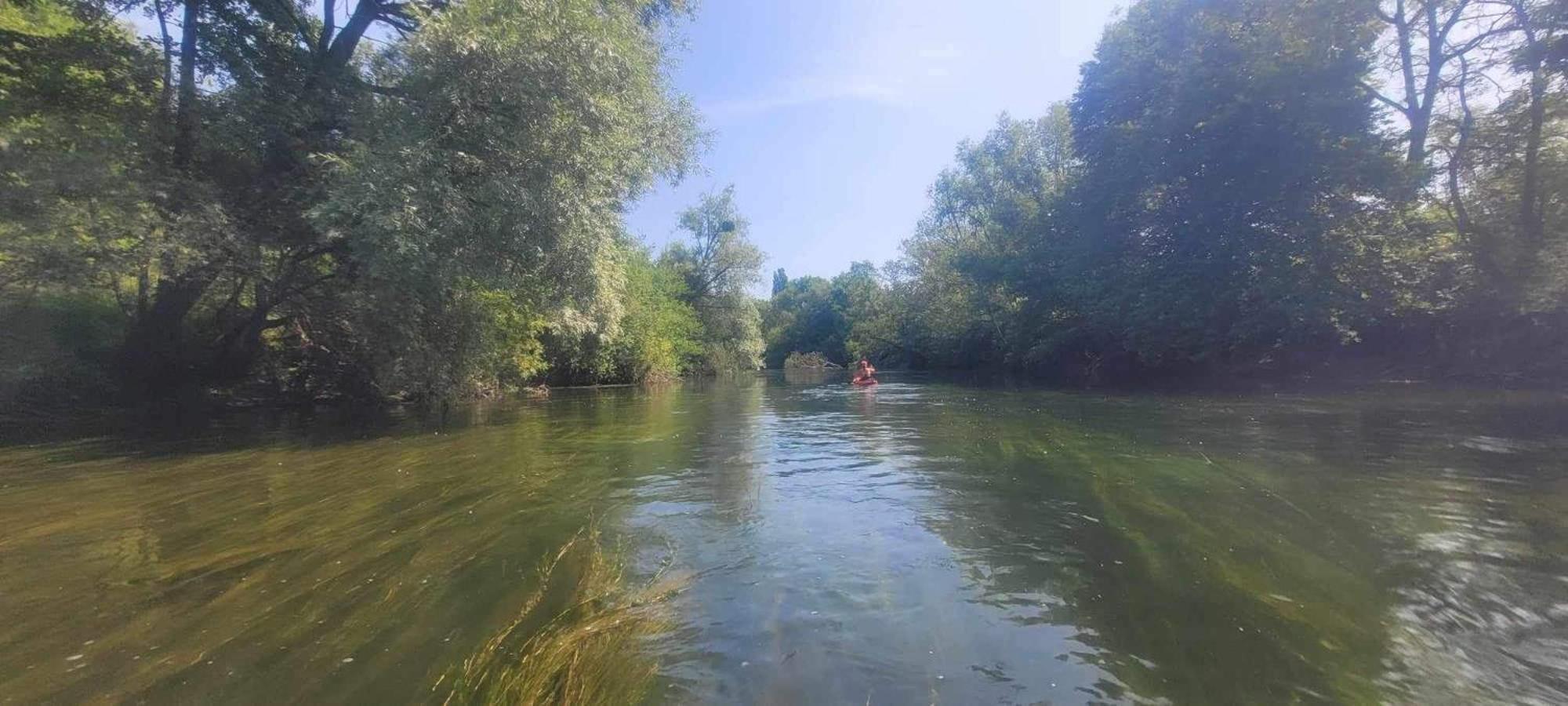 Detente A Sorques Montigny-sur-Loing Esterno foto