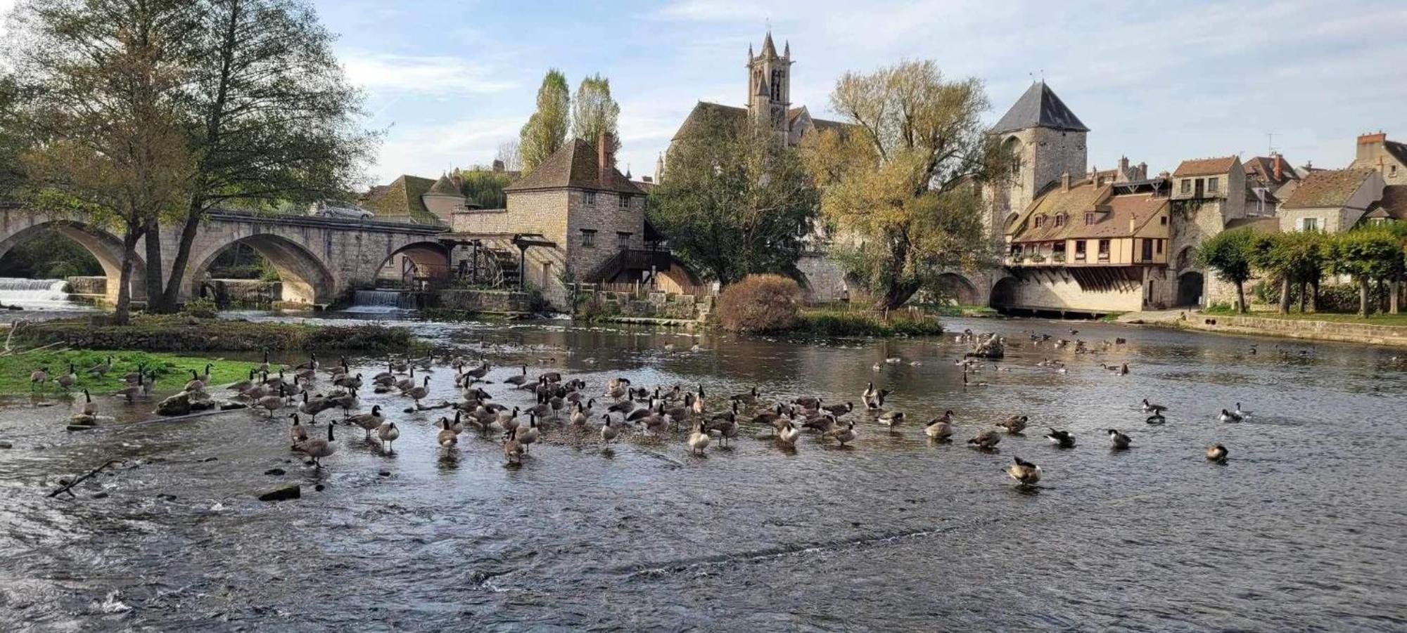 Detente A Sorques Montigny-sur-Loing Esterno foto