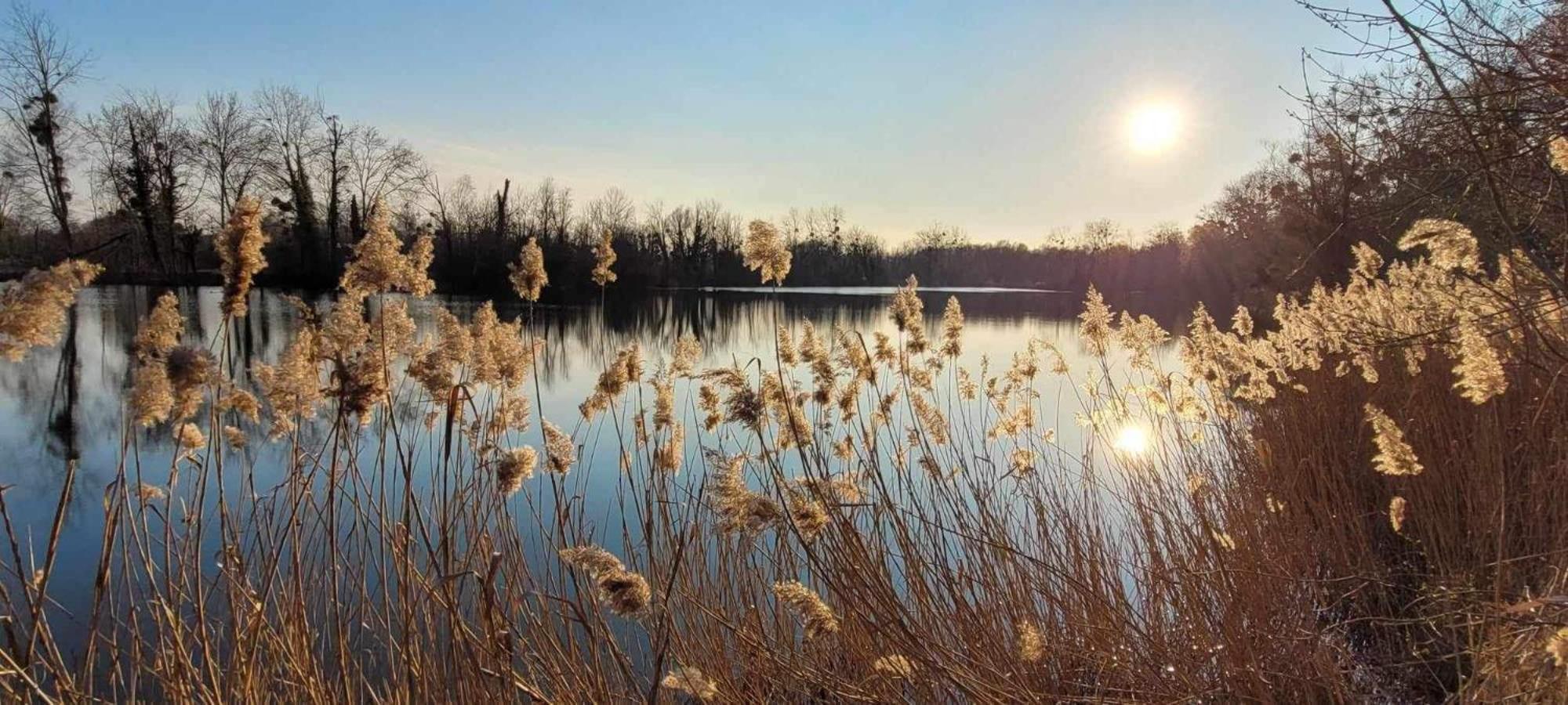 Detente A Sorques Montigny-sur-Loing Esterno foto